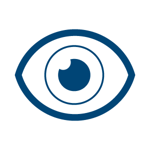 sorveglianza <br/> della concorrenza sorveglianza <br/> della concorrenza